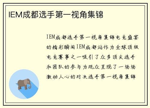 IEM成都选手第一视角集锦