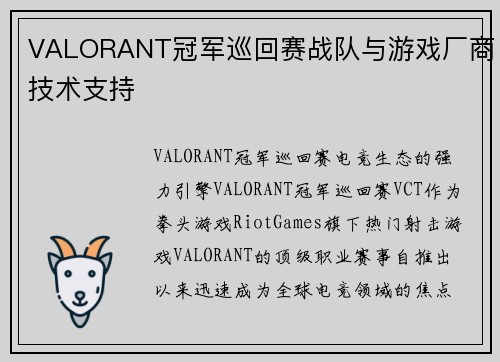 VALORANT冠军巡回赛战队与游戏厂商技术支持