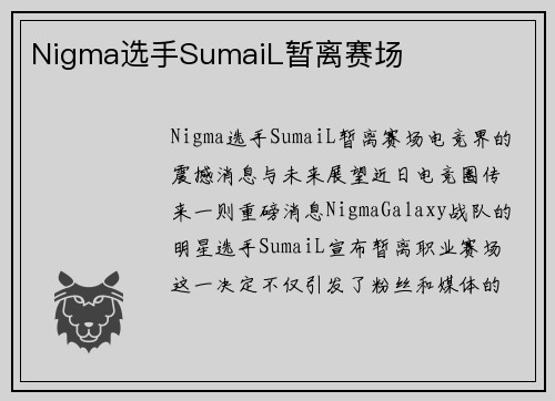 Nigma选手SumaiL暂离赛场