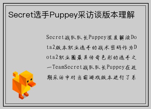 Secret选手Puppey采访谈版本理解
