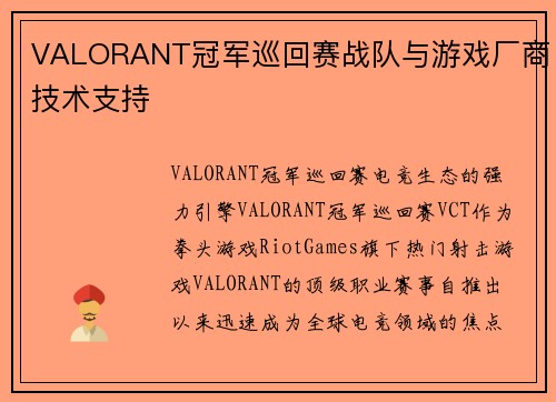 VALORANT冠军巡回赛战队与游戏厂商技术支持