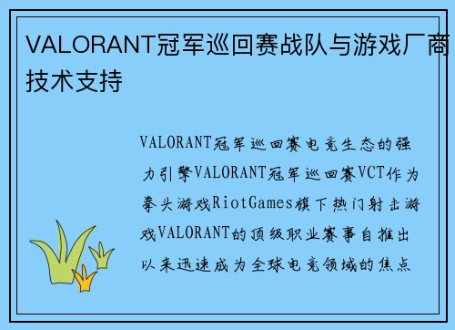 VALORANT冠军巡回赛战队与游戏厂商技术支持